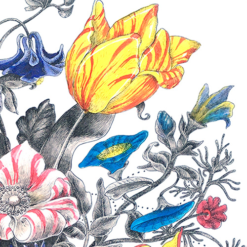 Blumenstrauß nach Maria Sibylla Merian, farbige Zeichnung, Ausschnitt