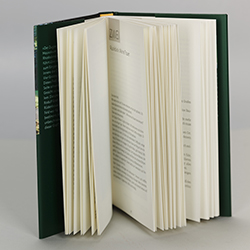 Buchinnenseiten, D. Nahler, DAS LEERE FELD